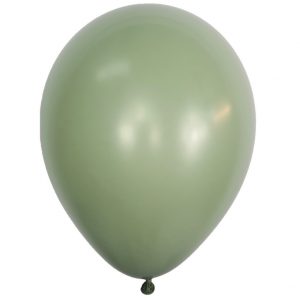 Eucalyptus Latex Balloons