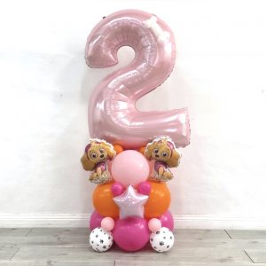 Paw Patrol Skye Number Stack
